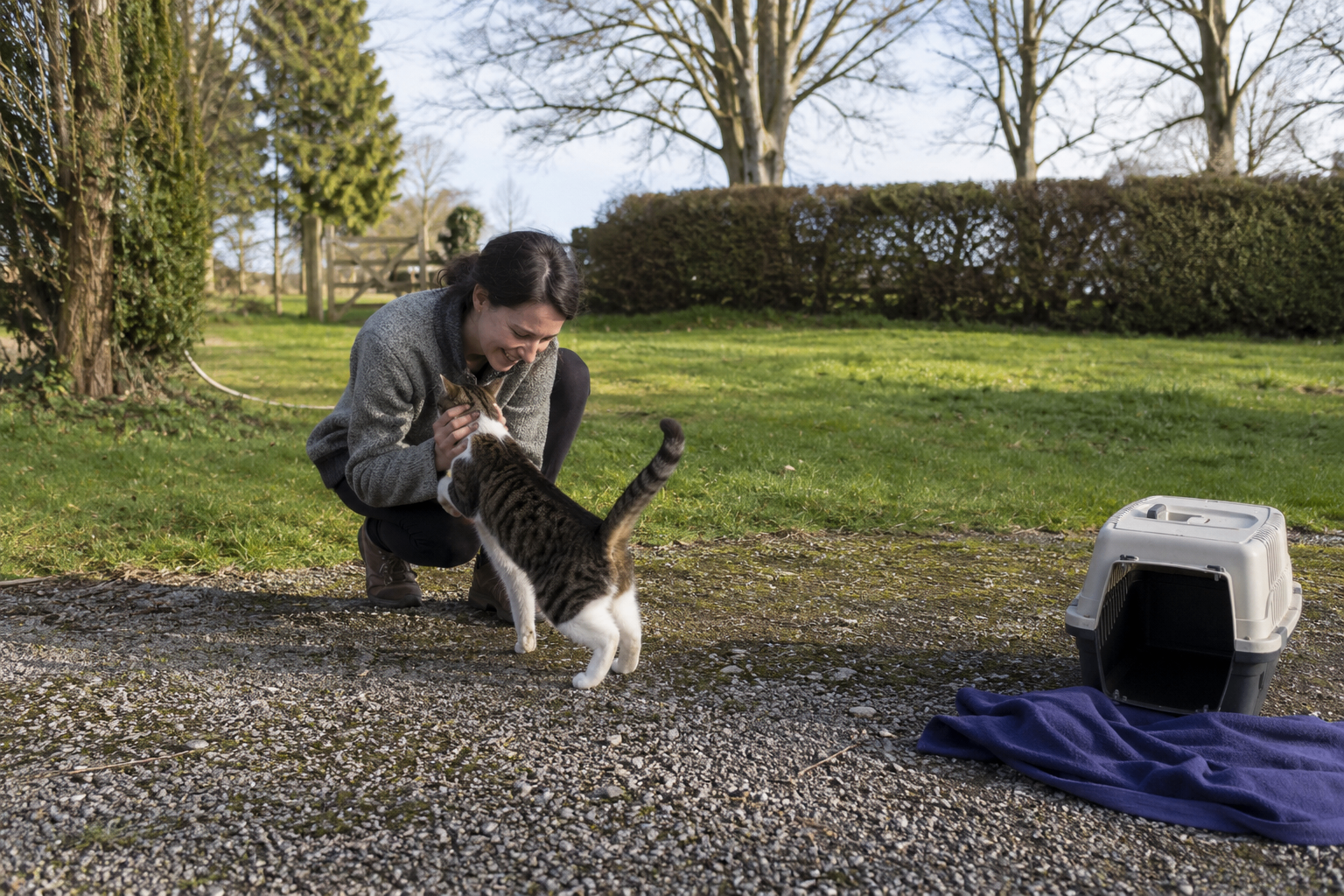 Illustrative image of a pet with its owner